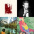 KIT BODENHAM thumbnail