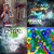 Lachlan Wadsworth thumbnail