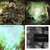 Isaiah G. thumbnail