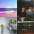 Dannis Trinh thumbnail