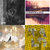 Anouchka Bee thumbnail