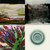 Jonathan Borel thumbnail