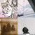 Christopher Bird thumbnail