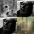 Robert Moores thumbnail