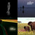 badsign thumbnail