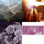 William Harris thumbnail