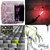 Andrew Weddle thumbnail