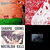 Anton Feller thumbnail