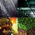 Aaron thumbnail