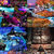 Elana Perel thumbnail