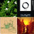 Matthew Smithson thumbnail