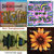 arkestra thumbnail