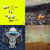 david riewald thumbnail