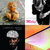 Paul Falloon thumbnail