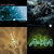 Flynn Taggart thumbnail