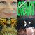 Morgan Norris thumbnail