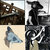 Patrick Lynch thumbnail