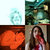 Stuart Galbraith thumbnail
