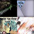 donjarahoi thumbnail