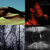 Gregory Strack thumbnail