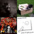 Kristof Bolland thumbnail