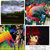Michael Bisdale thumbnail