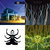 luiz eduardo costa de olvieira thumbnail