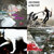 Nicolas Huart thumbnail
