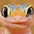paula blanch thumbnail