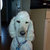 molly thumbnail