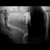 透 井上 thumbnail