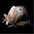 Ralph Machmot thumbnail