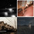 eagle14 thumbnail