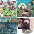 Onofre thumbnail