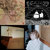 upsidedown81 thumbnail
