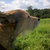 Gareth Pashley thumbnail