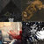 gauthier deboosere thumbnail