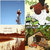 Matt Raives thumbnail