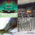 PATRICK PALMKRANTZ thumbnail