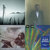 Max Persson thumbnail