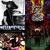 Matthew Martin thumbnail