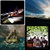 Javier Torres thumbnail