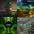 Urbanmoss thumbnail