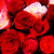 Love Art House thumbnail