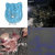 Jan Moerings thumbnail