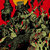 Richard Fecteau thumbnail
