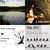 The Long Hill String Band thumbnail