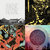 Eric Meier thumbnail