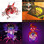 Devin Hawkinson thumbnail