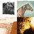 Ciaran Everitt thumbnail